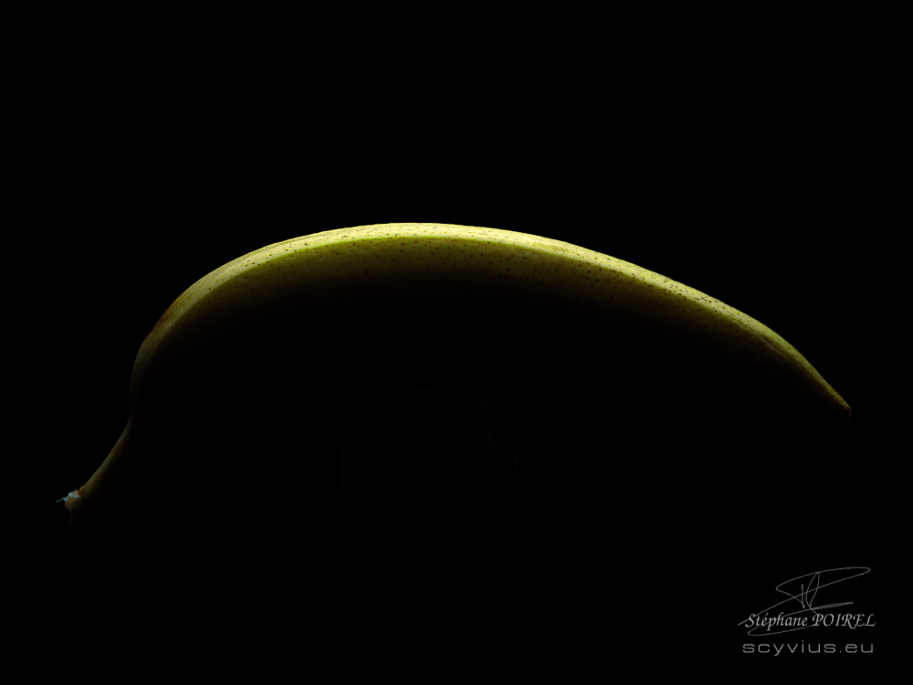 Photo en studio banane