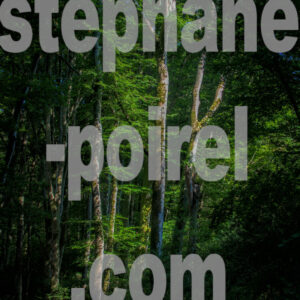 La Rigole dans la Montagne Noire