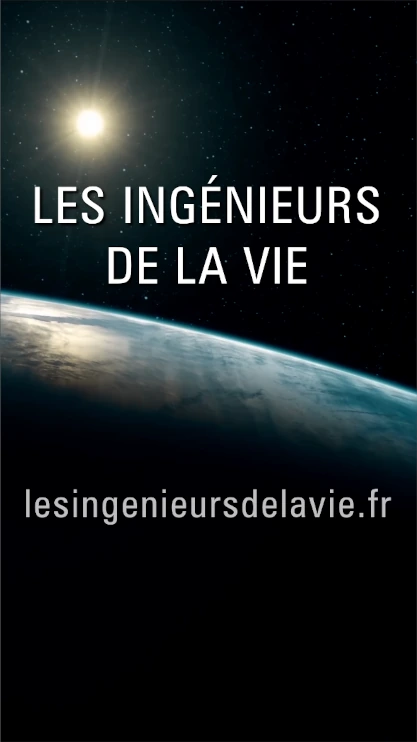 Vidéo format vertical : Short reel story