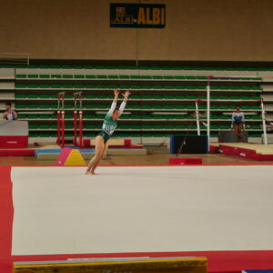 P1333339