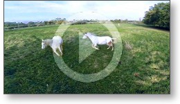 Film vidéo de présentation d'un domaine à partir de vues aériennes depuis un drone