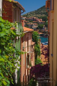 Photo de Collioure