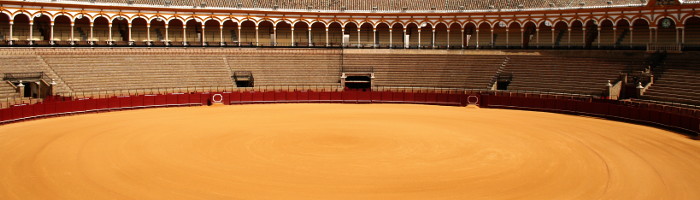 Photo des arènes de Séville