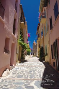 Photo rue dans Collioure