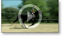 Film de présentation de centre équestre de Vigoulet-Auzil