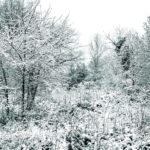 Photo hiver dans le Tarn