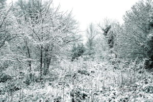 Photo hiver dans le Tarn