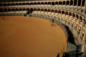 Photo des arènes de Ronda