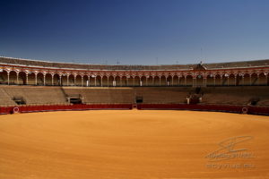 Photo des arènes de Séville