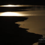 Photo pêcheur au lac de Saint Ferreol