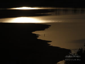 Photo pêcheur au lac de Saint Ferreol