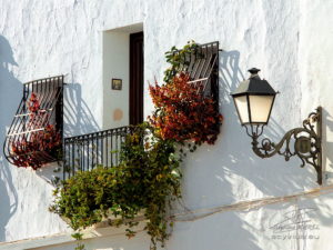 photo façade dans Altea