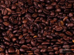 Photo grains de café