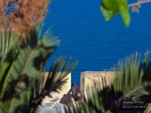 Photo canon citadelle Alicante