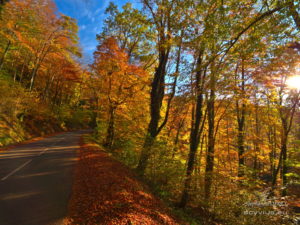 Photo montagne en automne