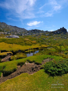 Plateau du Coscione