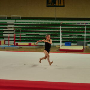 P1333494