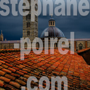 Sienne